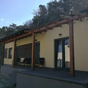 Przy Lesie Apartament